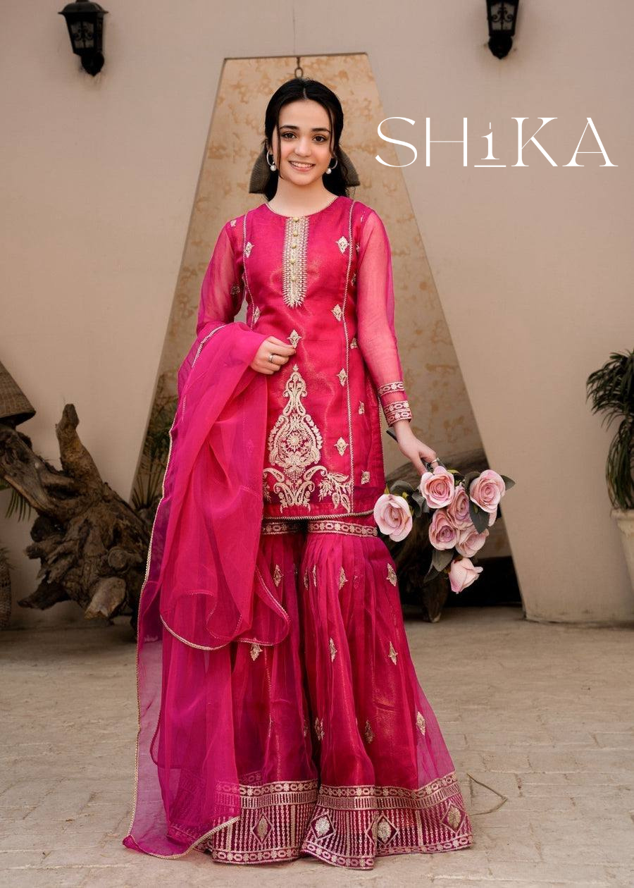 Eternal Blush Pallazo Set